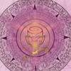 【受講生用】2/20マヤ暦手帳＆統計学マスター講座説明会