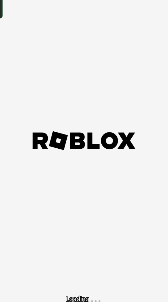 คุยเรื่องroblox