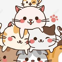 บ้านแมวเหมียว