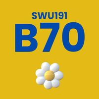 SWU191 _B70
