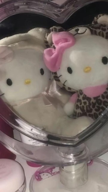 中高大生はなそー！