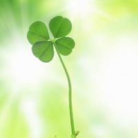 超大人w恋愛事情〜訳あり恋愛や恋の悩み 40代後半〜