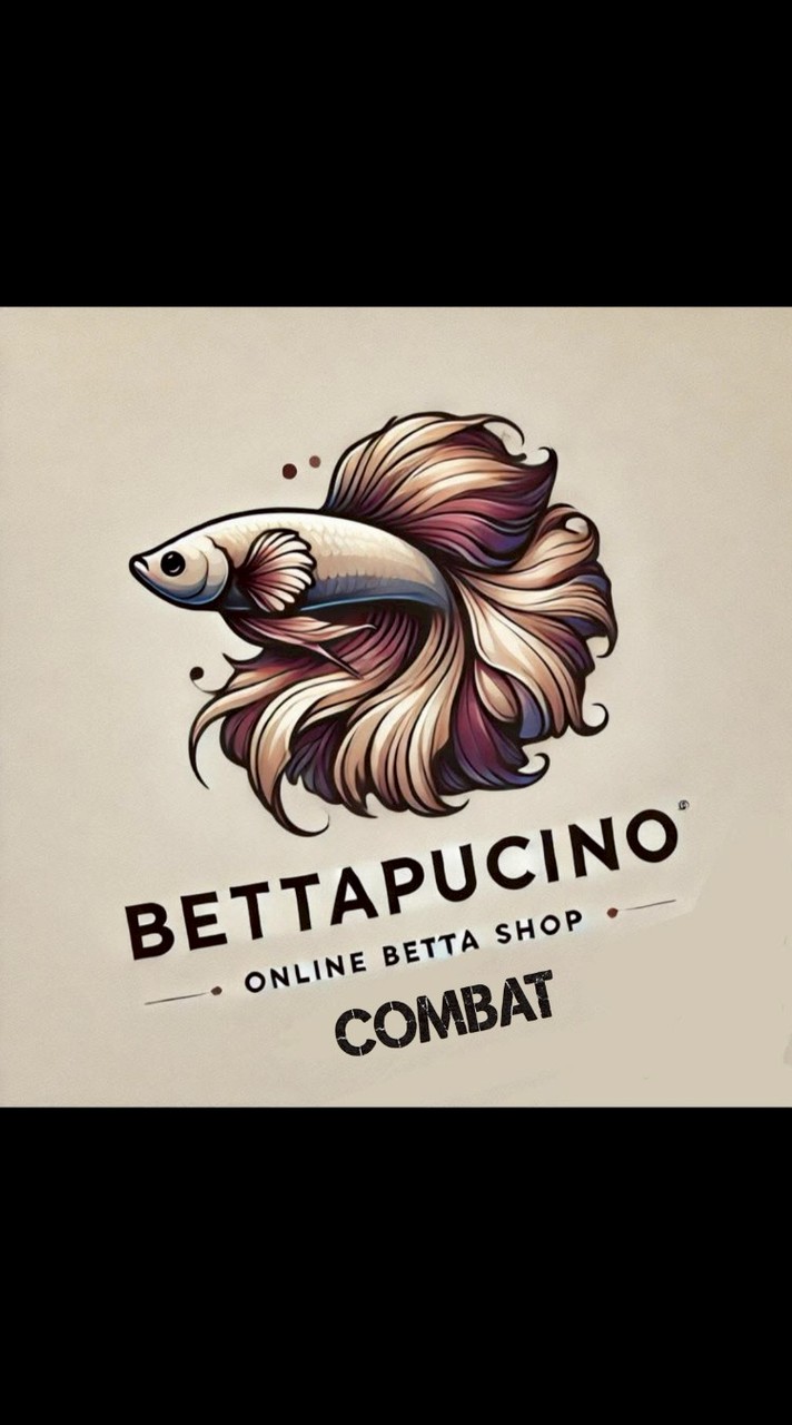 BettaPucinoCombat ปลากัดป่า/ปลากัดหม้อ ฯลฯ
