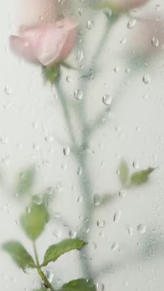 ꒦꒷꒦꒷