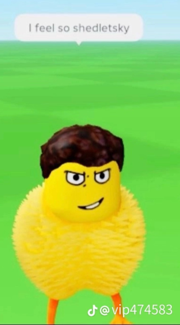 ไก่ฟีเจอห์ห์