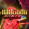 วิเคราะห์เจาะลึกไก่ชนไทย