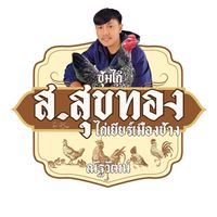 ส. สุขทองไก่ชนเมืองช้าง