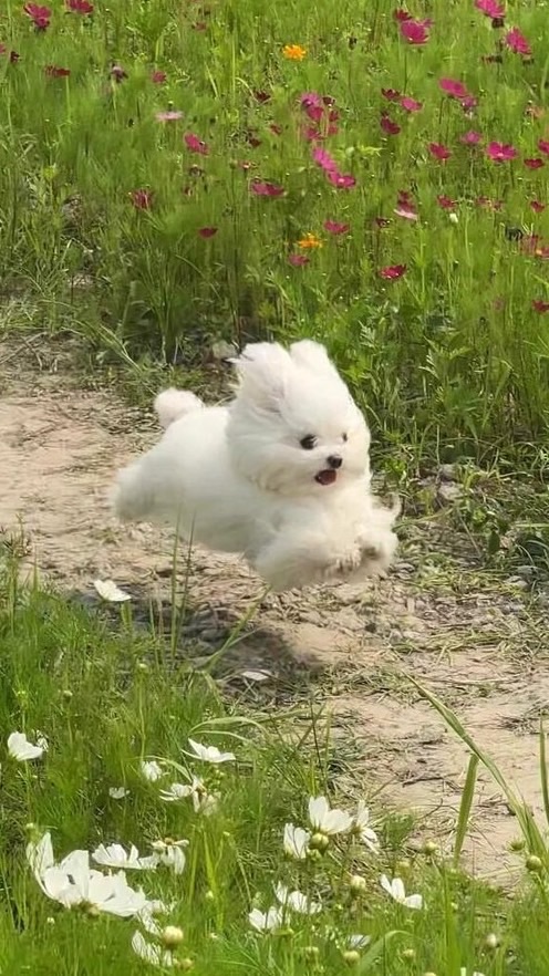 夏日妍妍౨ৎ