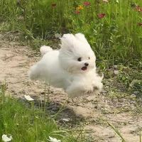 夏日妍妍౨ৎ