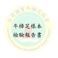 牛樟 買賣詢問 產品交流
