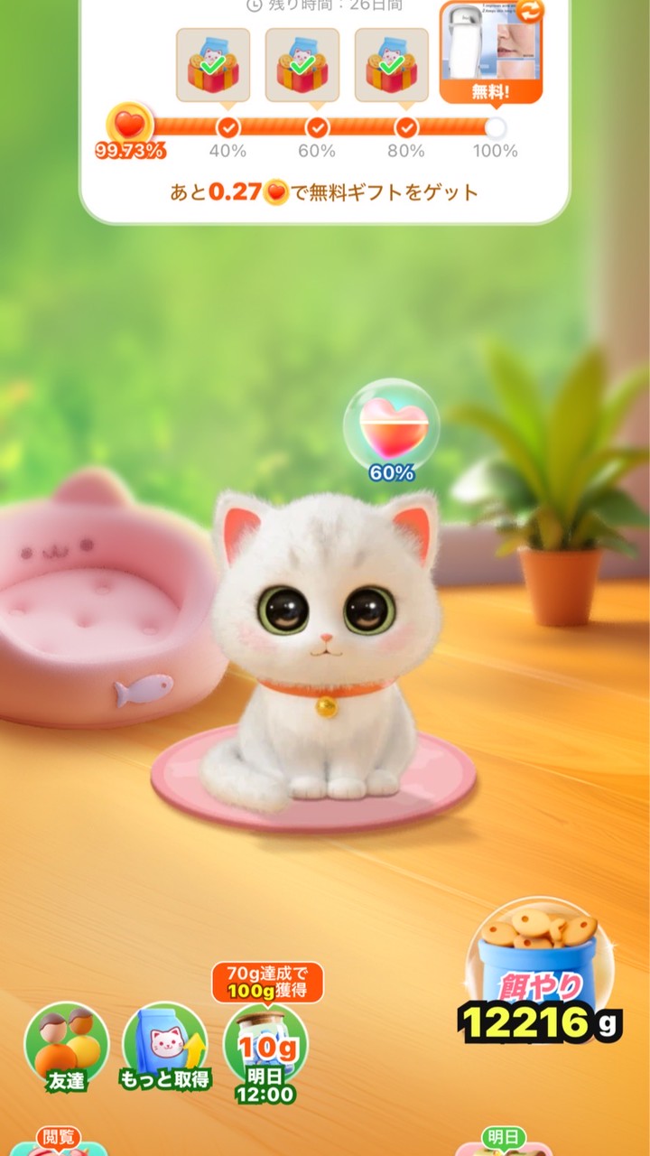 Shein 育ててにゃんこ協力！