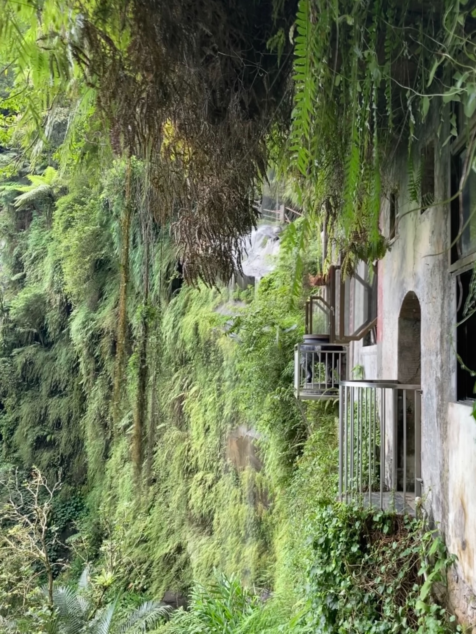 圖片來源/銀河洞越嶺步道-LINE熱點用戶