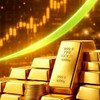 COPY GOLD FOREX KCM