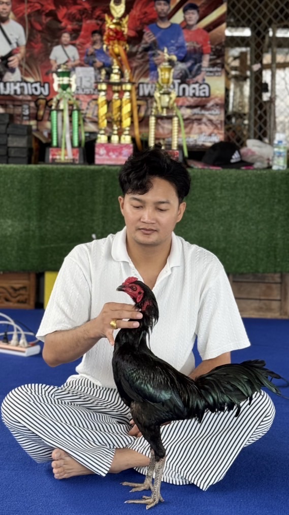เพชรโกศล ฟาร์ม