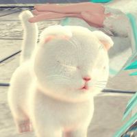 ห้องคุยเรื่องเกมส์