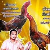 ไก่ชน อ.อนพ