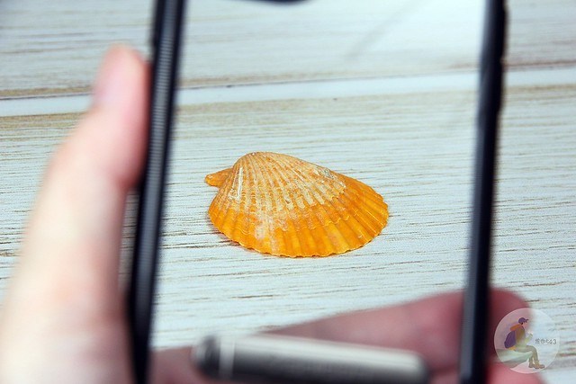 Spigen手機保護殼