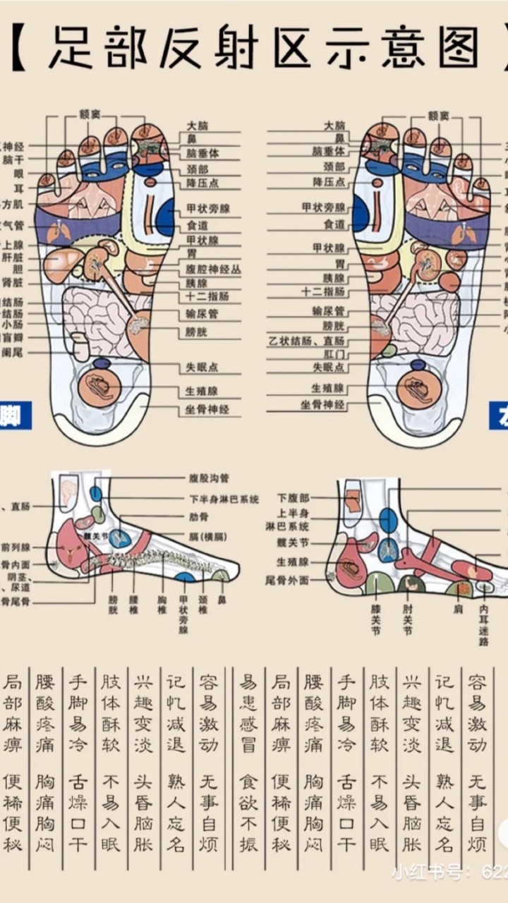 高雄按摩群.個人工作室.按摩推薦.按摩交流.