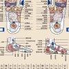 高雄按摩群.個人工作室.按摩推薦.按摩交流.