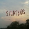 [Stray kids]สเต สมุทรสาคร