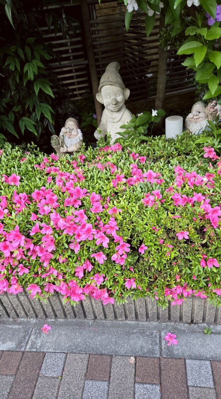 何でも話そう。愚痴。悩み。雑談。ストレス。