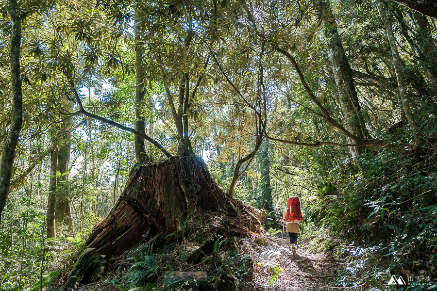 山女孩Melissa_西巒大山-2.jpg