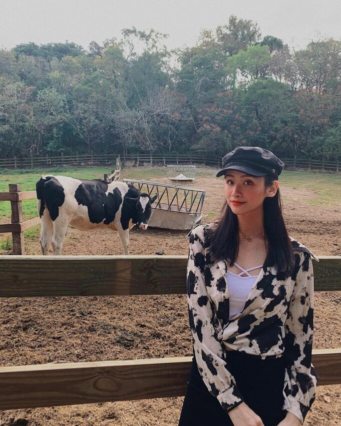 飛牛牧場 苗栗飛牛牧場怎麼玩? 門票優惠、農莊體驗、住宿推薦攻略一篇搞定！ 5 2022