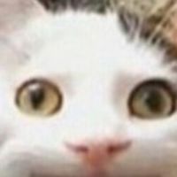 603動物園