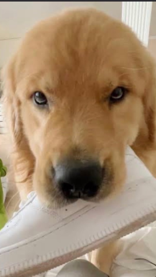 คนรักจุ๊มเหม่ง