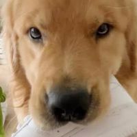 คนรักจุ๊มเหม่ง