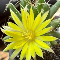 １日に笑顔をーヒストリア
