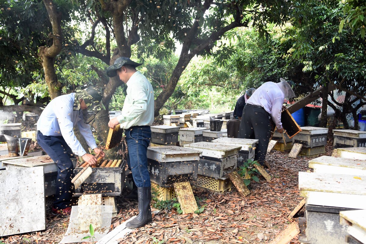 國產蜂蜜認證合格符合國家甲級蜂蜜標準