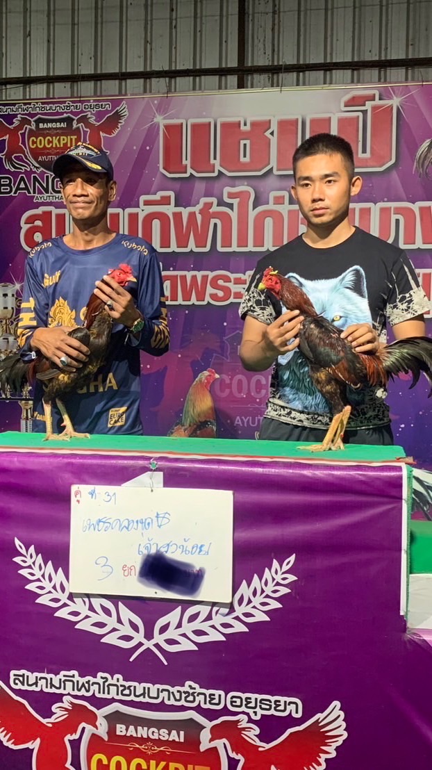 เรดาร์ทีม 🐓