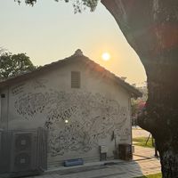關節能不換就不換