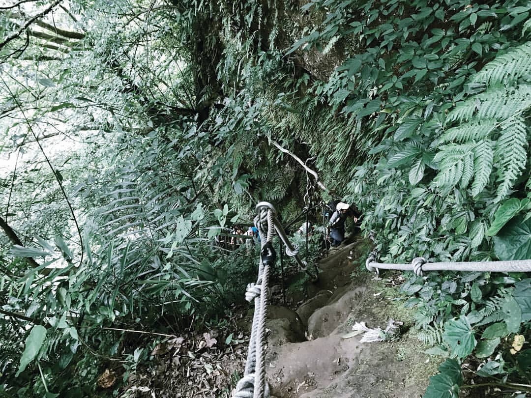 ９條不能錯過的新北網美登山步道｜跟著網紅走進新北登山步道！