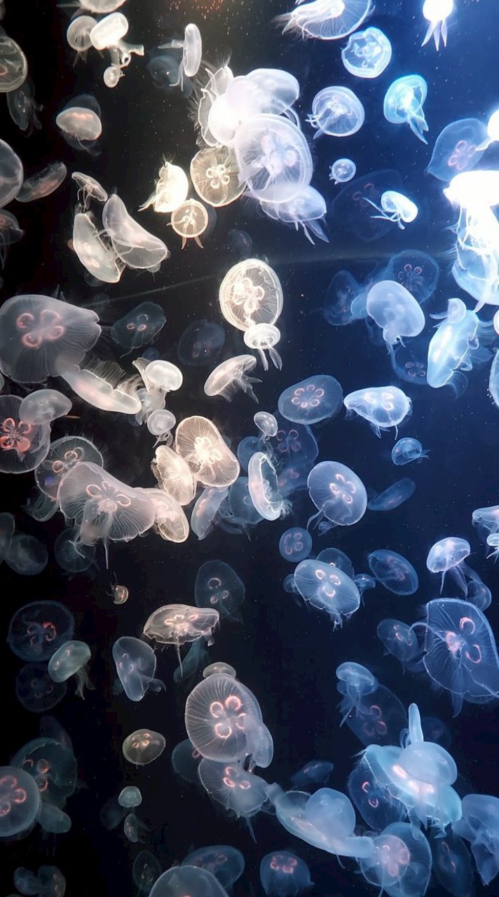 กลุ่มคุยเล่น/หาเพื่อน/หาแฟน/หาคนคุย🤟🏻🎊