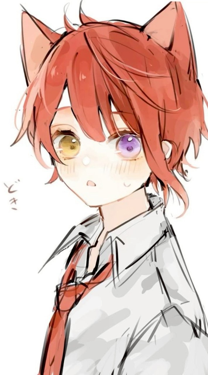 歌い手  緩也ハン ‼️