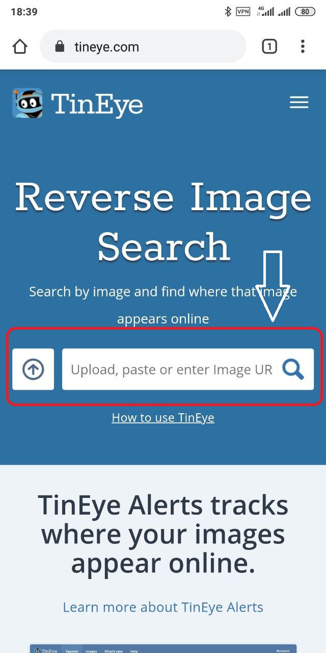 跨平台圖片搜尋完全教學，以圖搜圖、上傳搜圖、連結搜圖，請你跟我這樣做