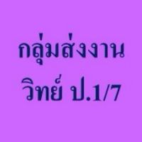 กลุ่มส่งงาน  วิทย์  ป.1/7