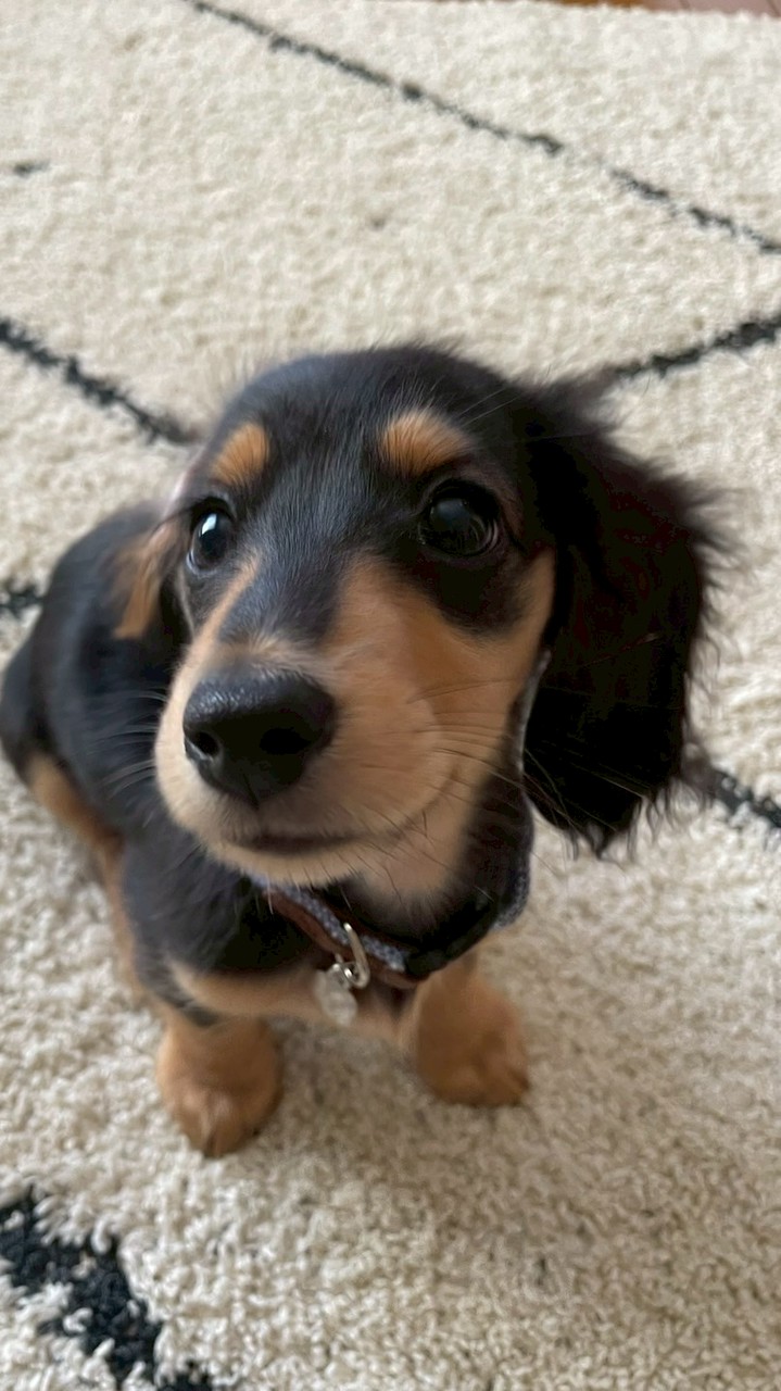 スパイダー🍯🕸️スパファン限定