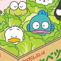 ガチ勢🍒福津 宗像 岡垣 遠賀 中間 直方 鞍手 八幡西区 八幡東区 シール 探し💛