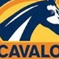 CAVALOR by Pamornchai