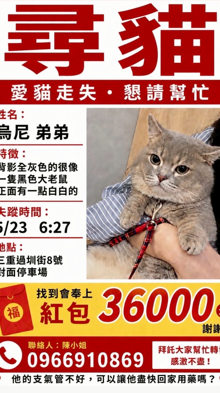 烏尼寶貝快回家
