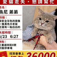 烏尼寶貝快回家