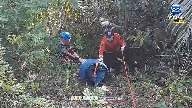 ฆาตกรรมอำพราง