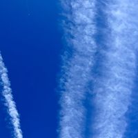 【不登校の悩み】スダチメソッドが気になるしてみたいな〜（自力組も大丈夫）の親の会
