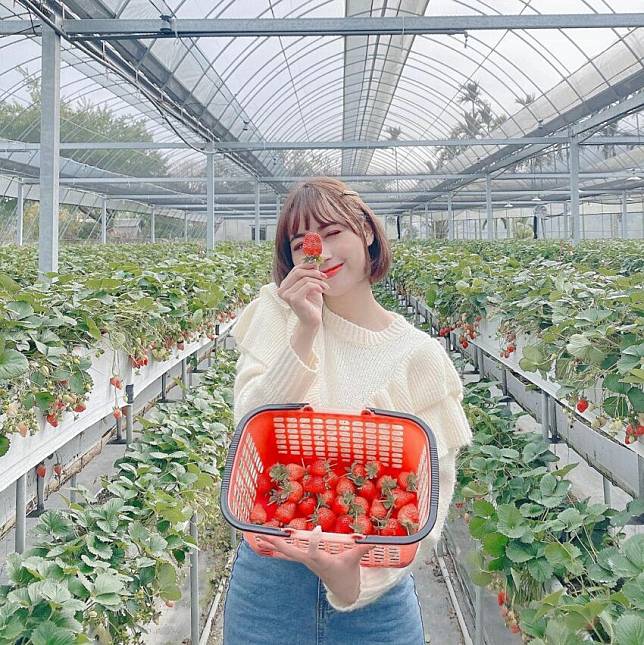 照片來源：IG @apple__ready