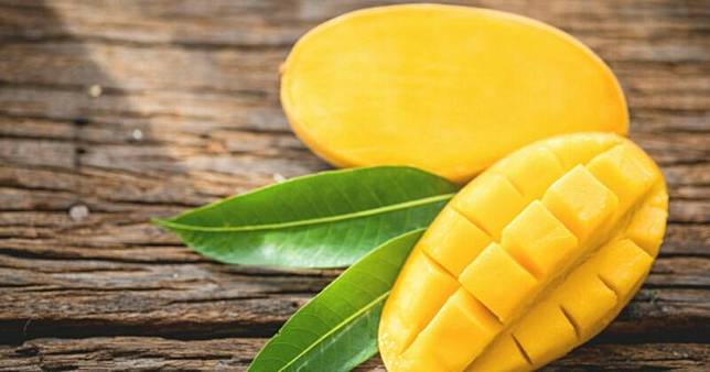 Hamil 17 Minggu Paula Verhoeven Ngidam Buah Sukun Dan Mangga