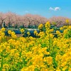 高度治療で妊活を卒業した方