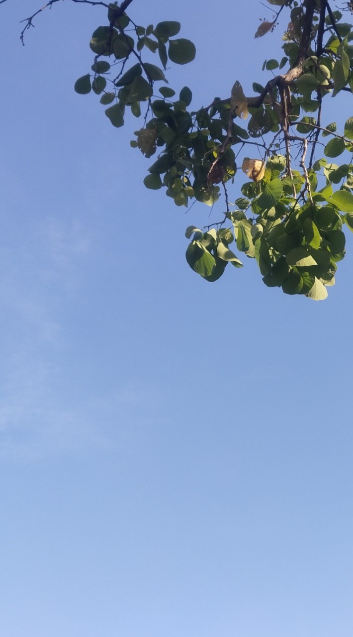 ถ่ายภาพ